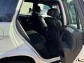 BMW X5 X5 xDrive35d Weiß - thumbnail 15