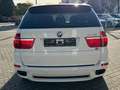 BMW X5 X5 xDrive35d Weiß - thumbnail 5