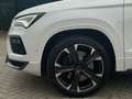 CUPRA Ateca 4Drive*Keyless*LED* Blanc - thumbnail 6