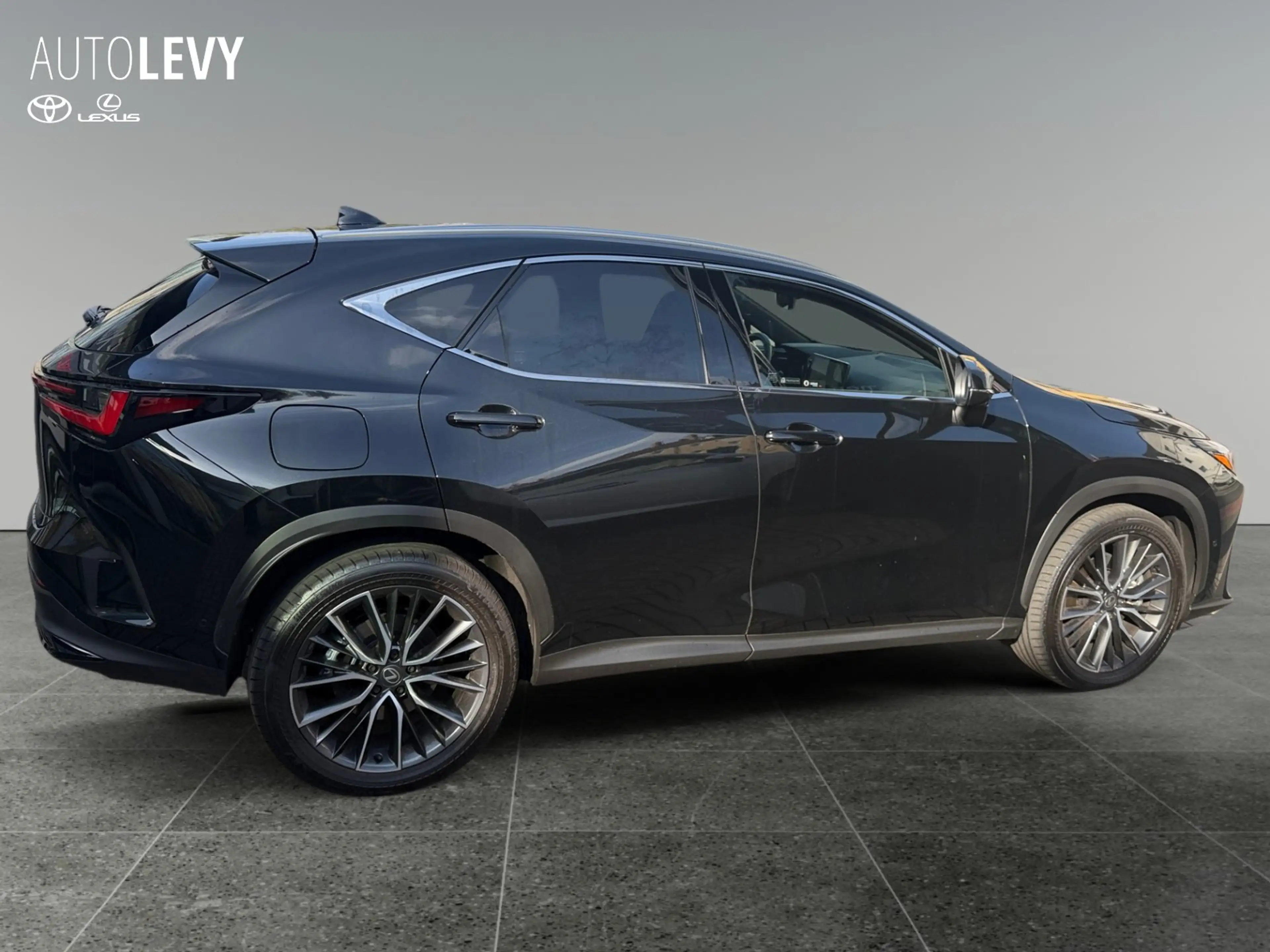 Lexus NX 450h+ NX450h+ Luxury Line +Pano+MarkLevinson+Sofort+ — photo 5