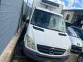 Mercedes-Benz Sprinter 311 CDI Bianco - thumbnail 1
