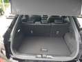 Ford Puma ST X PANO Performance Assistenz NAVI LED RECARO Schwarz - thumbnail 17