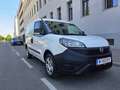 Fiat Doblo Doblo Cargo L2H1 1,3 MultiJet 95 Business Business Weiß - thumbnail 4