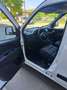 Fiat Doblo Doblo Cargo L2H1 1,3 MultiJet 95 Business Business Weiß - thumbnail 6