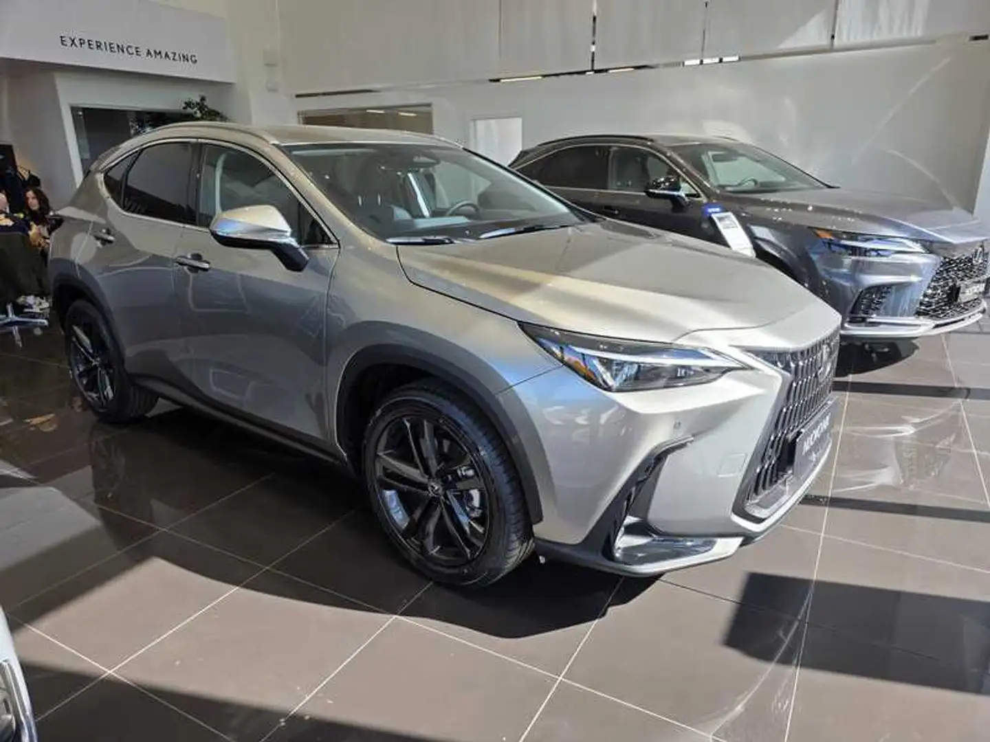 Lexus NX 350h 350h 2.5 Premium+ 4wd e-cvt Gris - 1