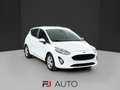 Ford Fiesta 1.1 Trend S&S 85cv 5 porte Bianco - thumbnail 31