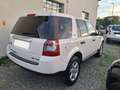 Land Rover Freelander Freelander II 2.2 td4 XS Bianco - thumbnail 5