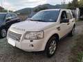 Land Rover Freelander Freelander II 2.2 td4 XS Bianco - thumbnail 1