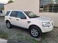 Land Rover Freelander Freelander II 2.2 td4 XS Bianco - thumbnail 3