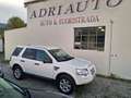 Land Rover Freelander Freelander II 2.2 td4 XS Bianco - thumbnail 4