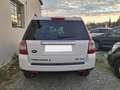Land Rover Freelander Freelander II 2.2 td4 XS Bianco - thumbnail 6