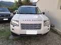 Land Rover Freelander Freelander II 2.2 td4 XS Bianco - thumbnail 2