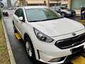 Kia Niro Niro 1.6 gdi hev Style Adas Pack dct my18 Bianco - thumbnail 6