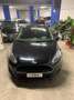 Ford Fiesta Fiesta 1.4 3 porte Bz.- GPL Black & White Edition Nero - thumbnail 9