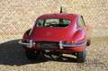 Jaguar E-Type 4.2 coupe series 1.5 Superb restored condition, Ma Rood - thumbnail 31