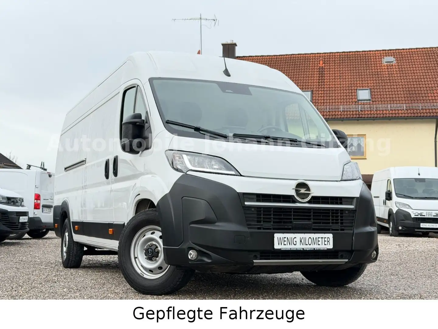 Opel Movano MOVANO D NEW MODEL L4H2 Kasten Kamera/Navi/Apple Weiß - 1