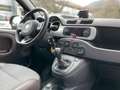 Fiat Panda Panda Cross 1.3 MJT 95 CV S&S 4x4 Schwarz - thumbnail 15