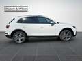Audi Q5 50+TFSI e+LED+MMI TOUCH+KAMERA+ Blanc - thumbnail 7