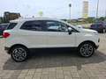 Ford EcoSport Titanium,Keyless,SHZ,Alufelgen,47tkm Weiß - thumbnail 7