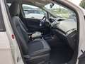 Ford EcoSport Titanium,Keyless,SHZ,Alufelgen,47tkm Weiß - thumbnail 17