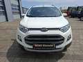 Ford EcoSport Titanium,Keyless,SHZ,Alufelgen,47tkm Weiß - thumbnail 9