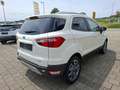 Ford EcoSport Titanium,Keyless,SHZ,Alufelgen,47tkm Weiß - thumbnail 6