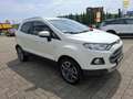 Ford EcoSport Titanium,Keyless,SHZ,Alufelgen,47tkm Weiß - thumbnail 8