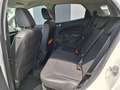 Ford EcoSport Titanium,Keyless,SHZ,Alufelgen,47tkm Weiß - thumbnail 14