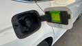 Skoda Kamiq TODOTERRENO 1.0 TSI 81KW AMBITION 5P Blanco - thumbnail 16