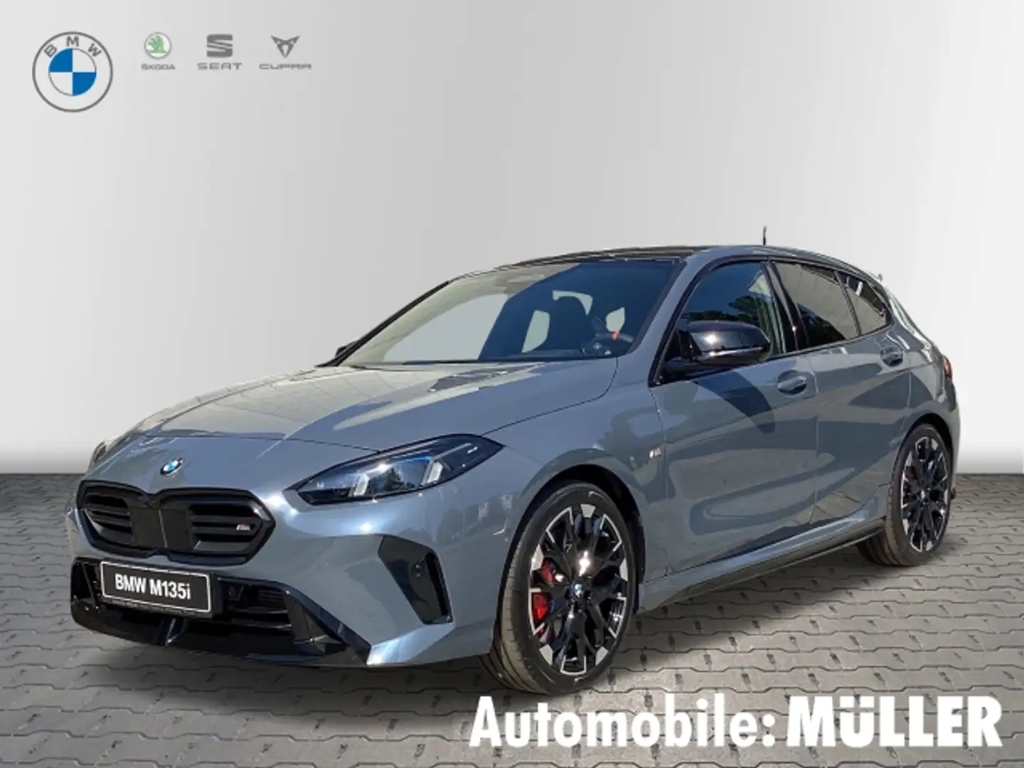 BMW 135 xDrive Klima Navi HuD AHK RFK Harman Kardon Sitzhz Grau - 1