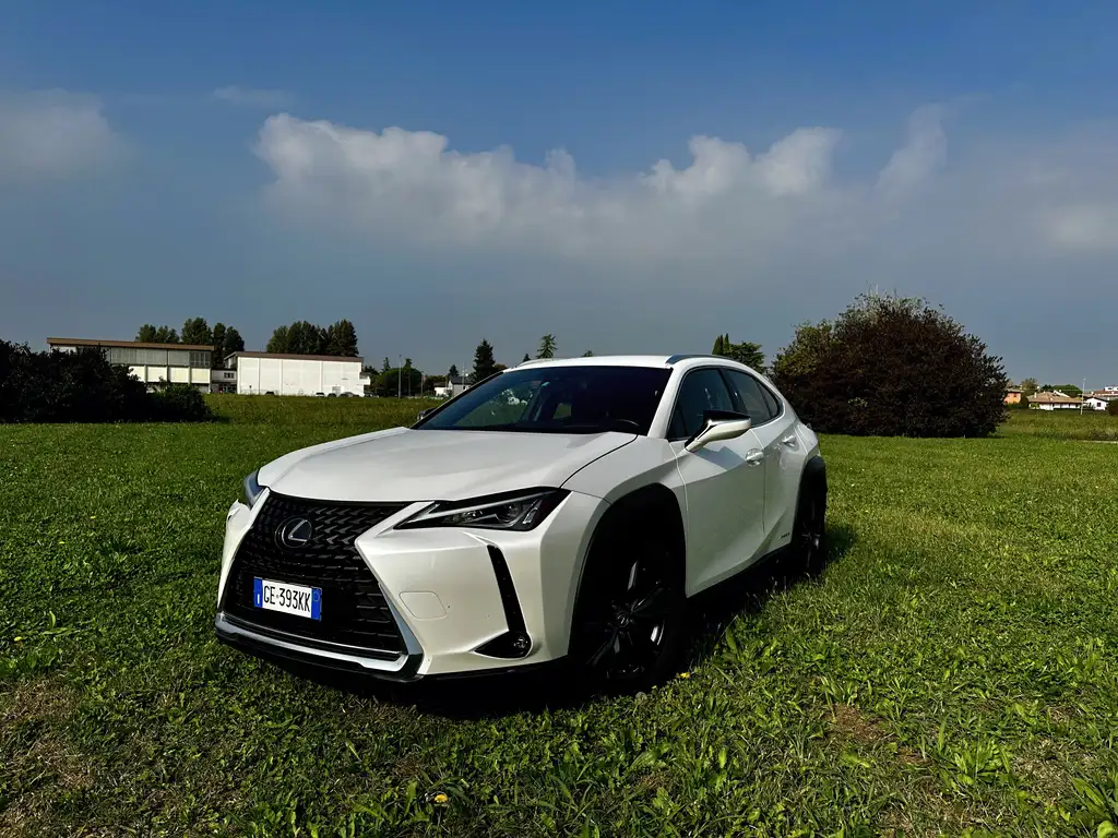 Lexus UX 250h 2021 из Европы — купить под ключ