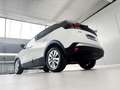 Peugeot 3008 1.5 BlueHDi 96kW (130CV) S&S Style Weiß - thumbnail 22