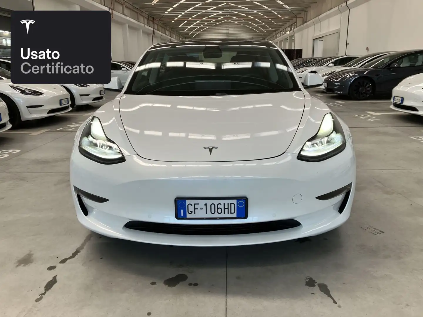 Tesla Model 3 Performance Wit - 2