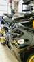Triumph Daytona 675 SE Zwart - thumbnail 5