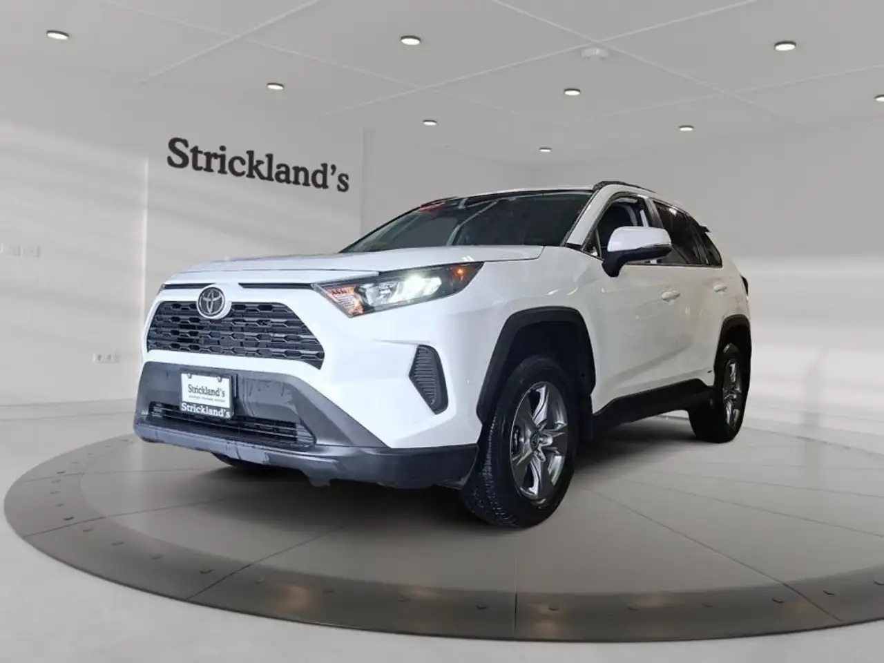 2025 Toyota RAV 4
