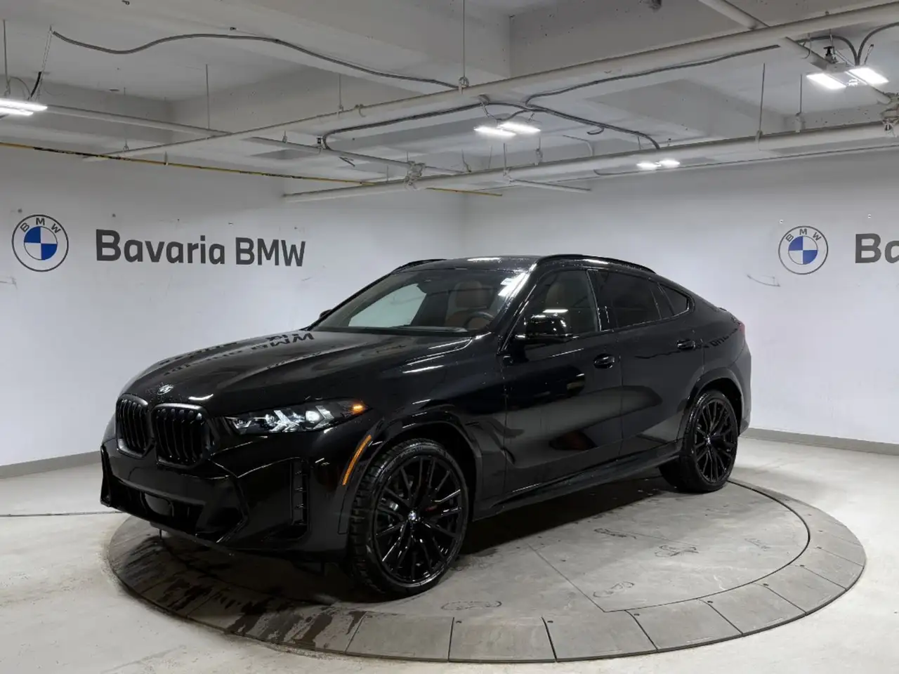 2026 BMW X6