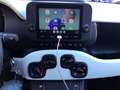 Fiat Panda Pandina Cross 1.0 70Cv Firefly 5 Posti Verde - thumbnail 12