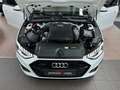 Audi A4 40 TDI quattro S line Kamera LED Keyless DSP 19" Weiß - thumbnail 3