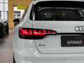 Audi A4 40 TDI quattro S line Kamera LED Keyless DSP 19" Weiß - thumbnail 15