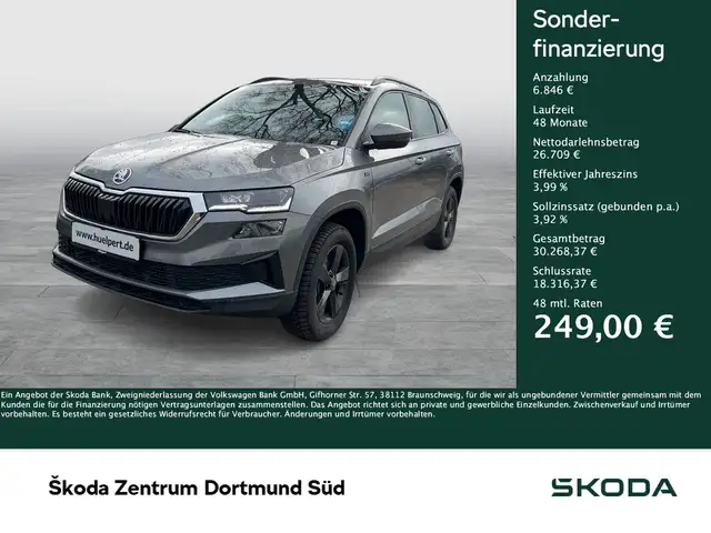 Skoda Karoq 2.0 TOUR STANDHZ. AHK CAM LM18 MATRIXLED