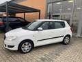 Skoda Fabia Ambition Wit - thumbnail 7