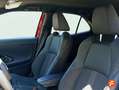 Toyota Yaris Cross 120H Adventure Rojo - thumbnail 10