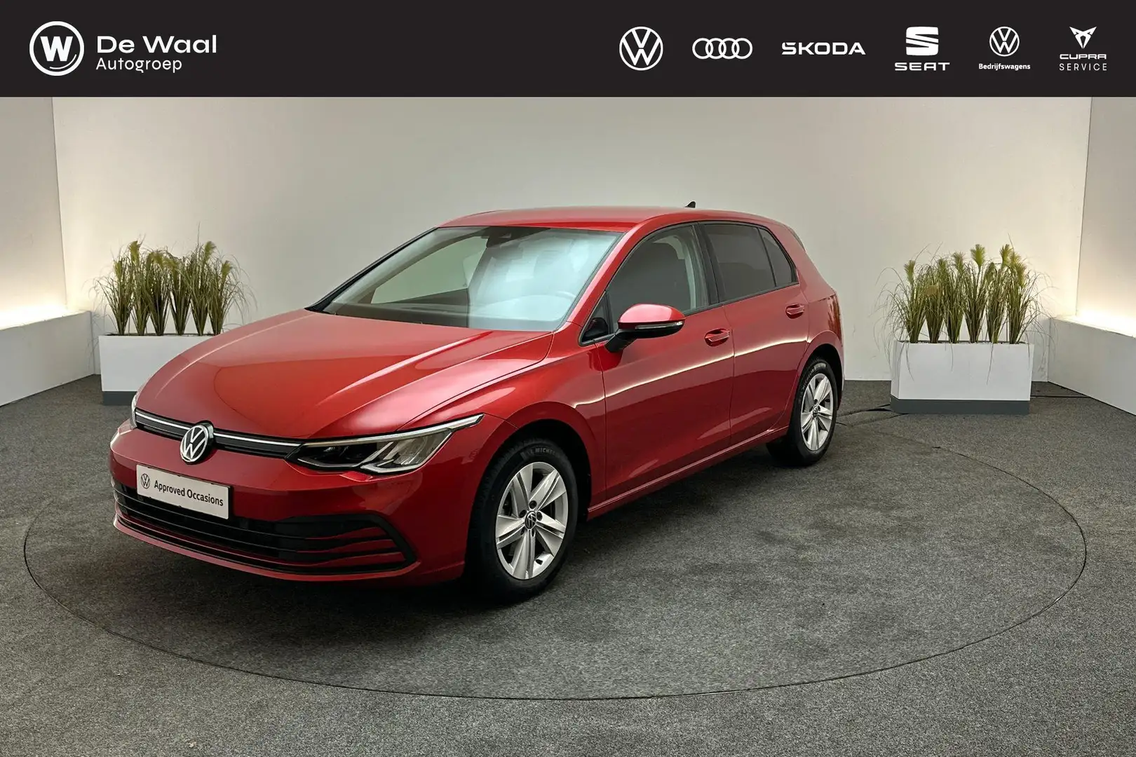Volkswagen Golf 1.0 TSI 110pk Life Business | Achteruitrijcamera, Rojo - 1