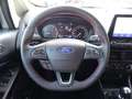 Ford EcoSport EcoSport 1.0 EcoBoost ST-Line Klima/LED/Kamera BC Argento - thumbnail 12