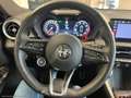 Alfa Romeo Tonale Tonale 1.5 hybrid Sprint 130cv tct7 Bianco - thumbnail 12
