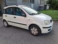 Fiat Panda Panda II 1.2 BENZINA / METANO VALIDO FINO AL 08/27 Bianco - thumbnail 3