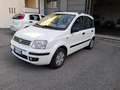 Fiat Panda Panda II 1.2 BENZINA / METANO VALIDO FINO AL 08/27 Bianco - thumbnail 1