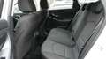 Hyundai i30 Kombi*Autom*SHZ*Lenkradheizung*Kamera*DAB*BT Silber - thumbnail 11
