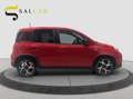 Fiat Panda 1.0 firefly 70cv hybrid Sport 2021 Rosso - thumbnail 4
