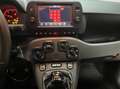 Fiat Panda 1.0 firefly 70cv hybrid Sport 2021 Rosso - thumbnail 12